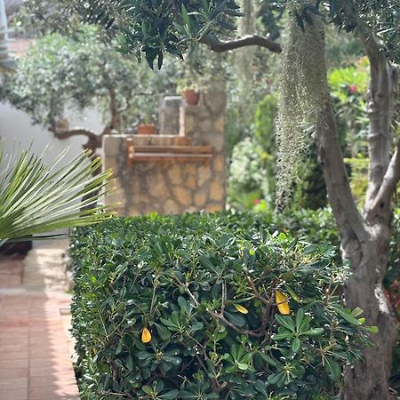 B&B Villa Alba サン・ヴィート・ロ・カーポ エクステリア 写真