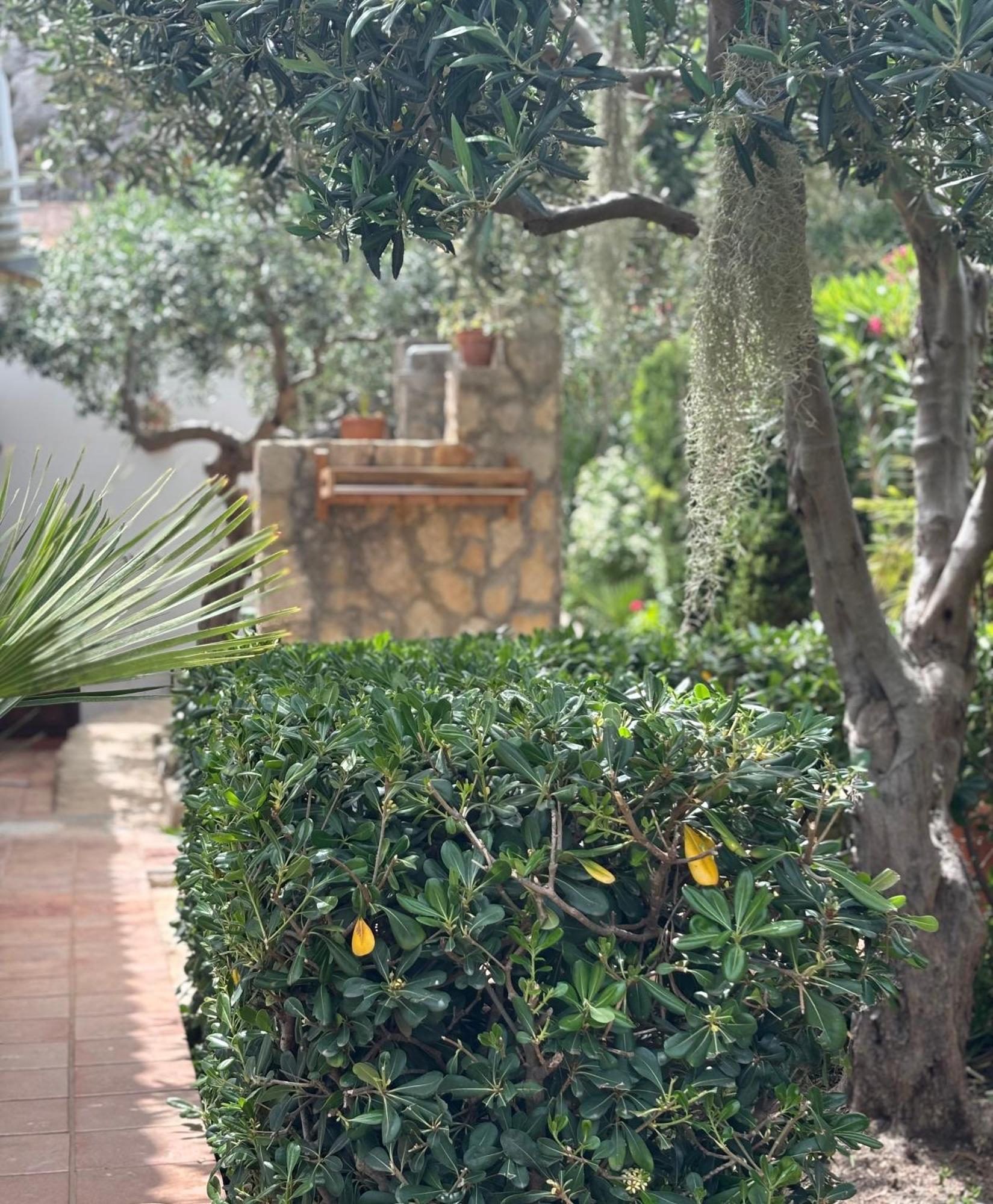 B&B Villa Alba サン・ヴィート・ロ・カーポ エクステリア 写真
