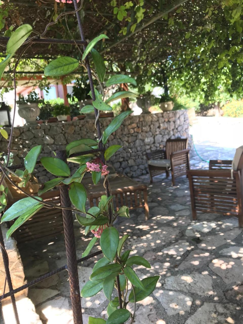B&B Villa Alba サン・ヴィート・ロ・カーポ エクステリア 写真